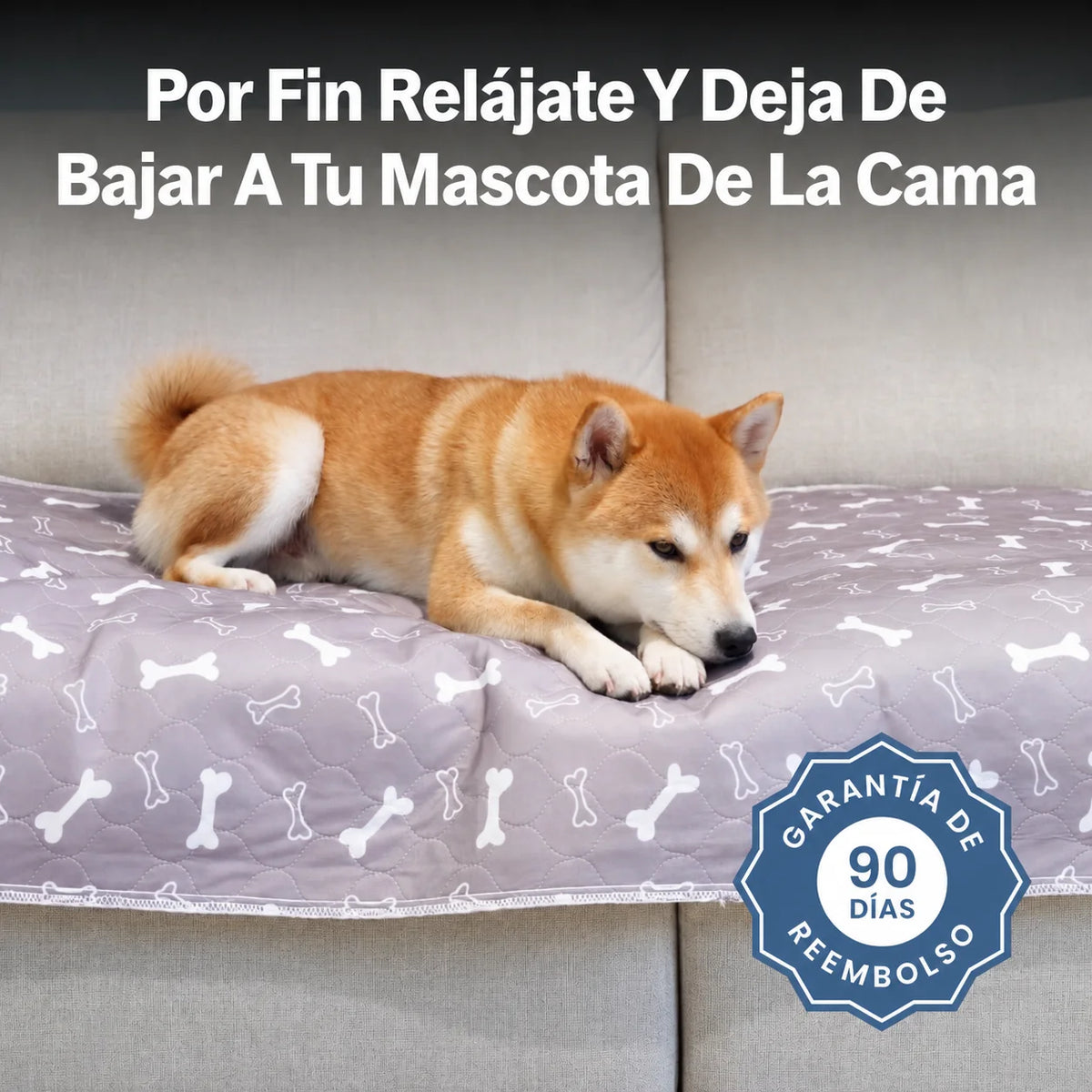 PipiPad Alfombra Absorbente
