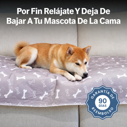 PipiPad Alfombra Absorbente