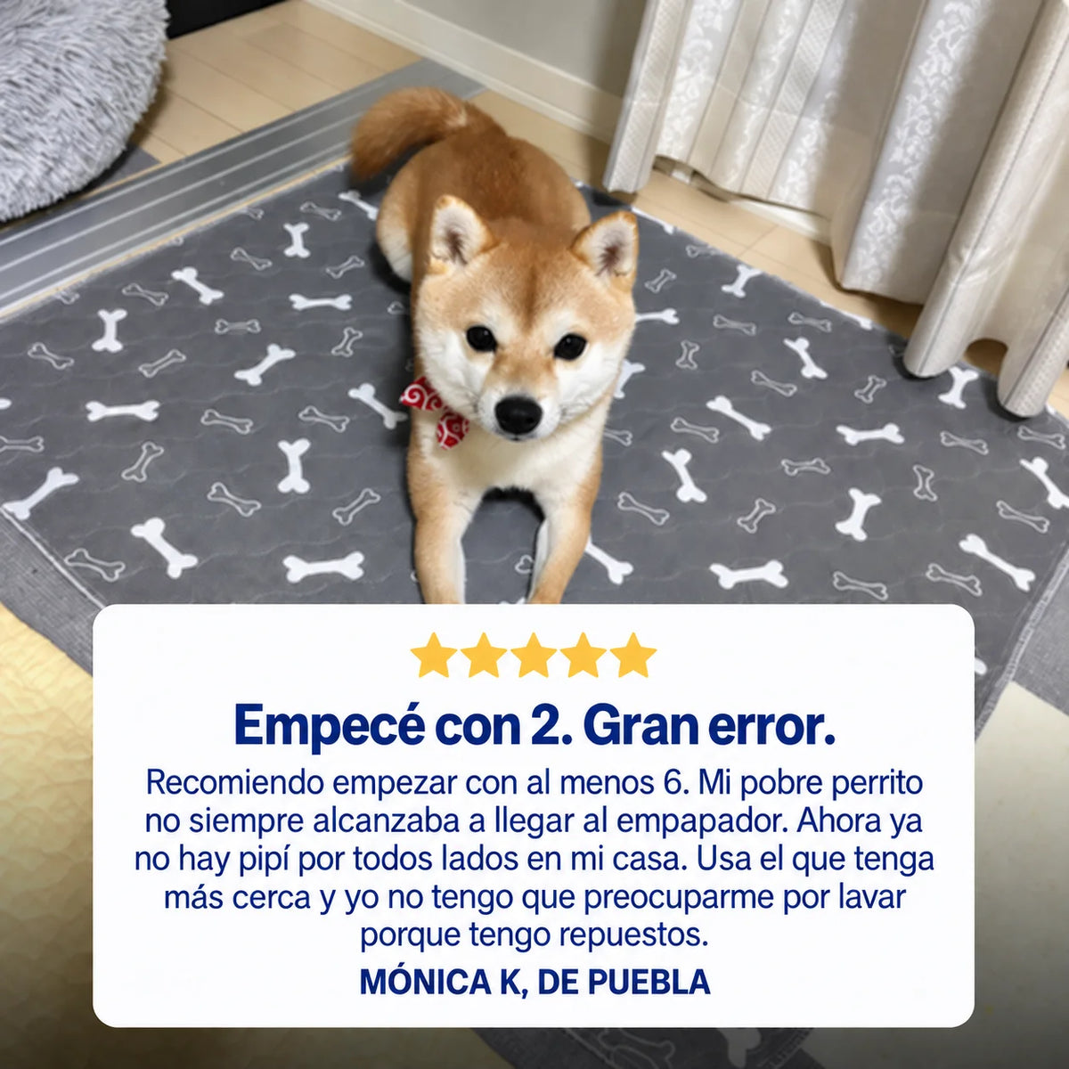 PipiPad Alfombra Absorbente
