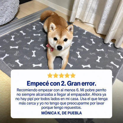PipiPad Alfombra Absorbente