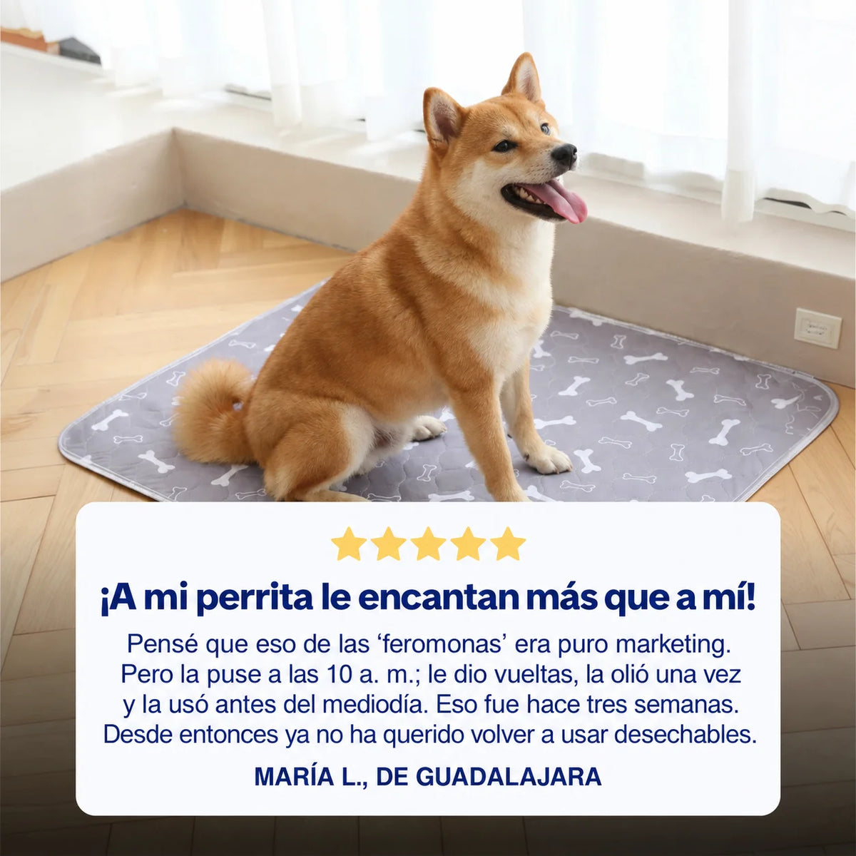 PipiPad Alfombra Absorbente