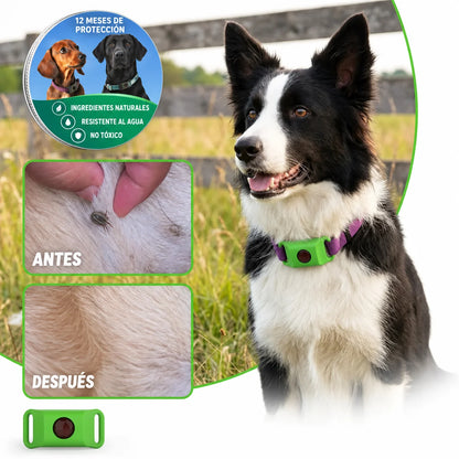 PetShield · Protección contra pulgas y garrapatas