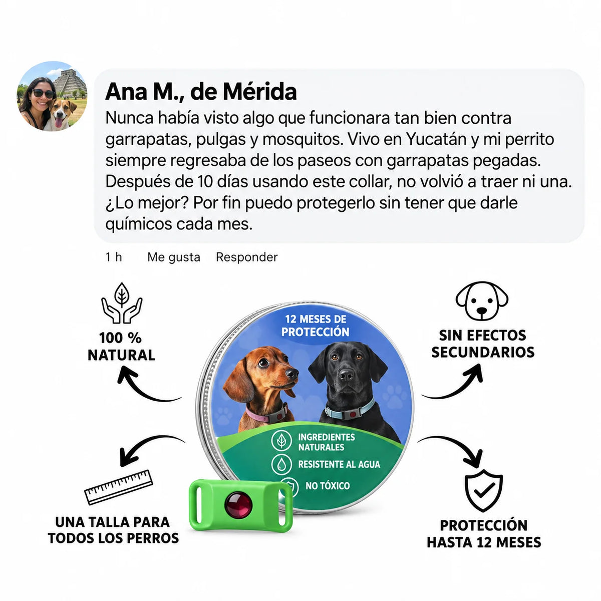 PetShield · Protección contra pulgas y garrapatas
