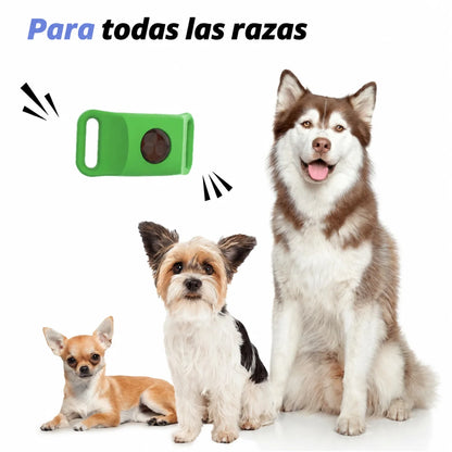 PetShield · Protección contra pulgas y garrapatas