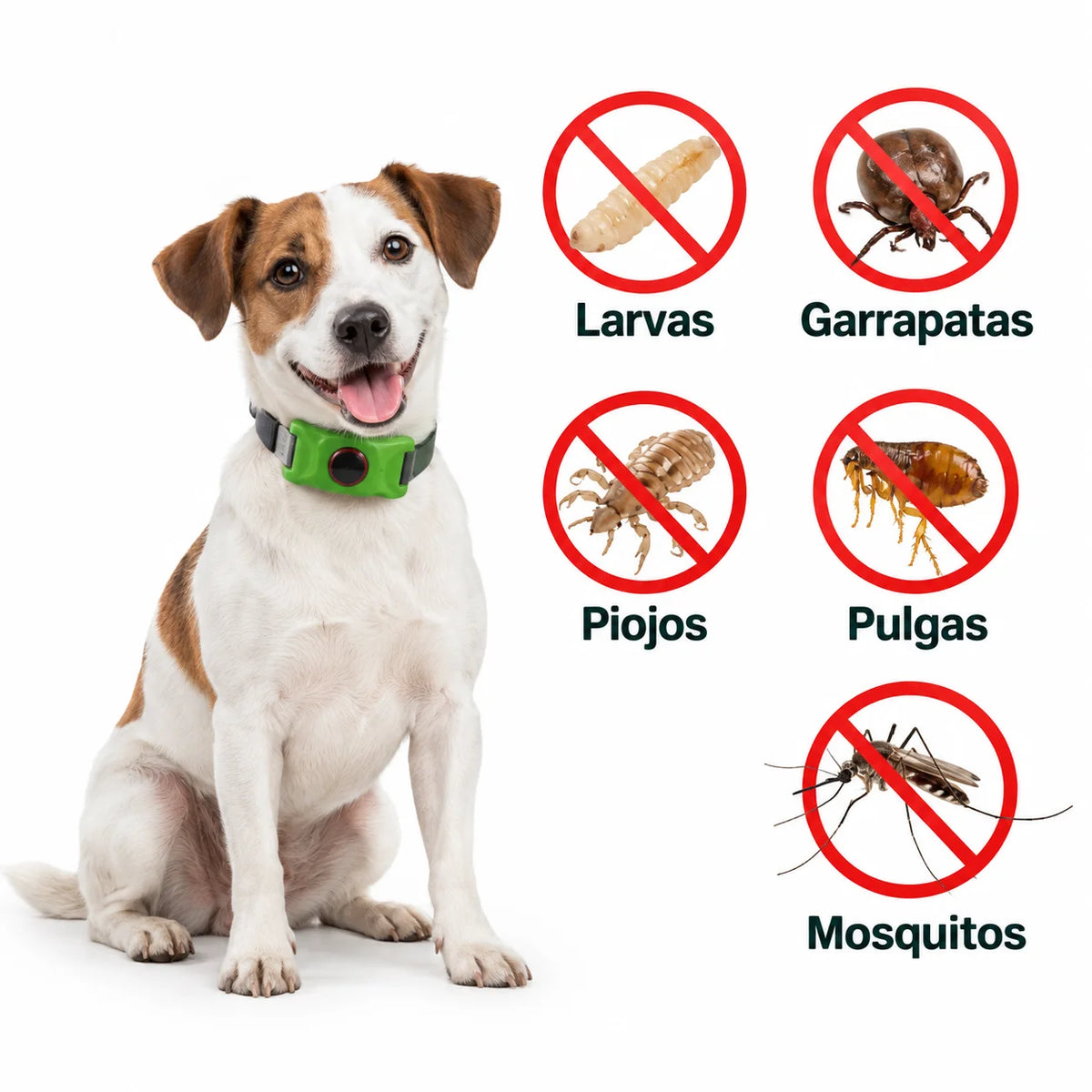 PetShield · Protección contra pulgas y garrapatas